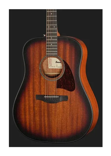 Ibanez AAD54E-OMH, buca e rosetta, scatto 4