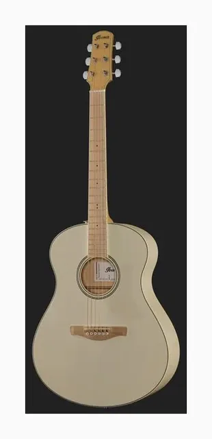 Ibanez AAM370E-OAW, buca e rosetta, scatto 2