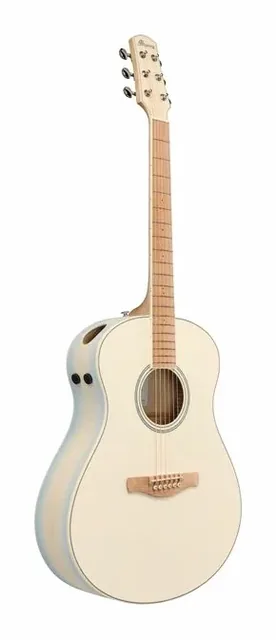 Ibanez AAM370M2E-AIB, buca e rosetta, scatto 2