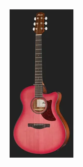 Ibanez AAM50-CE-CRO, paletta e meccaniche, scatto 2