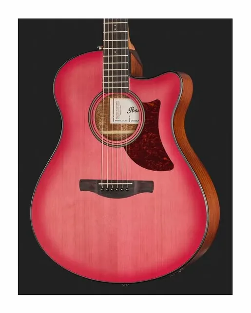 Ibanez AAM50-CE-CRO, cassa vista di fronte, scatto 4
