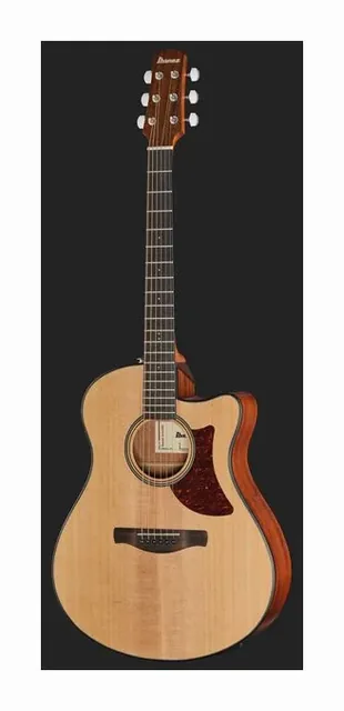Ibanez AAM50CE-OPN, paletta e meccaniche, scatto 2