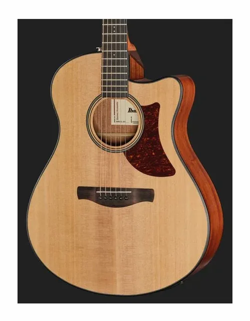 Ibanez AAM50CE-OPN, buca e rosetta, scatto 4