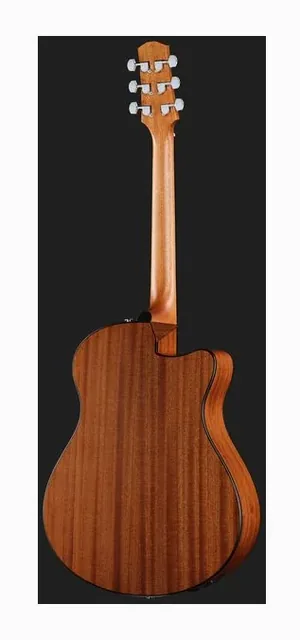 Ibanez AAM50LCE-OLB, paletta e meccaniche, scatto 3