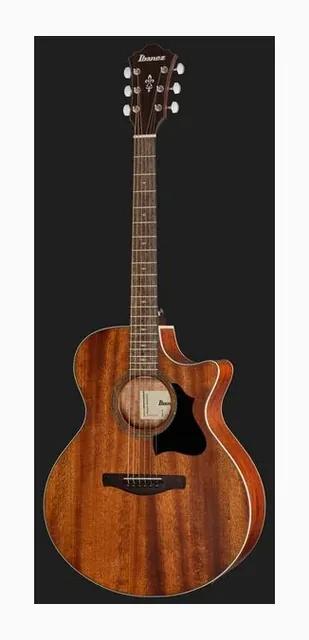 Ibanez AE140-OPN, tastiera e capotasto, scatto 2