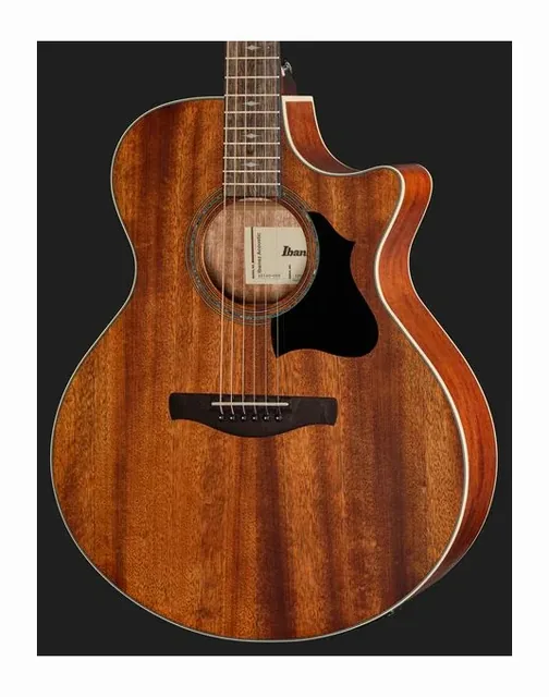 Ibanez AE140-OPN, fondo e fasce, scatto 4
