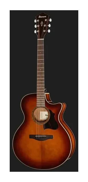 Ibanez AE160-VMS, tastiera e capotasto, scatto 2