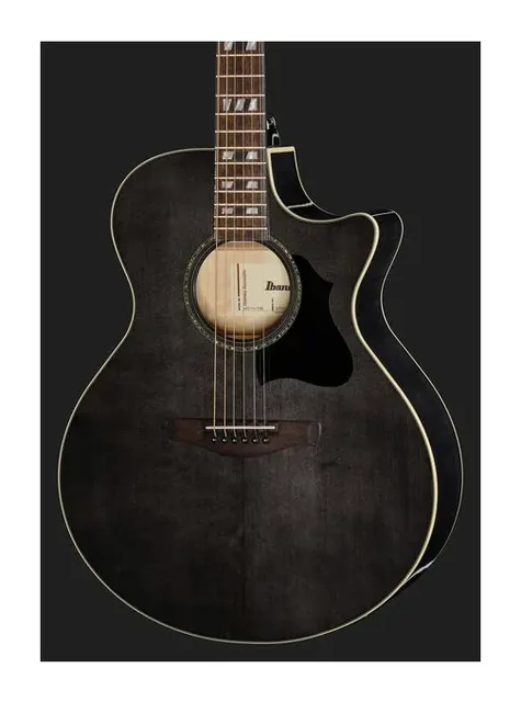 Ibanez AE170-TBK, ponte e selletta, scatto 4