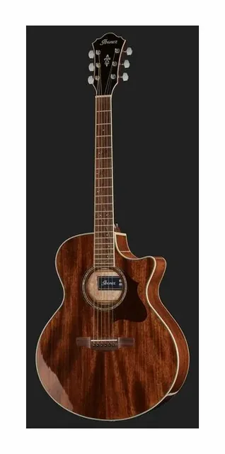 Ibanez AE245-NT, tastiera e capotasto, scatto 2