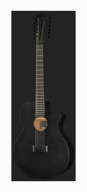 Ibanez AEG1221-BOT, cassa vista di fronte, scatto 2
