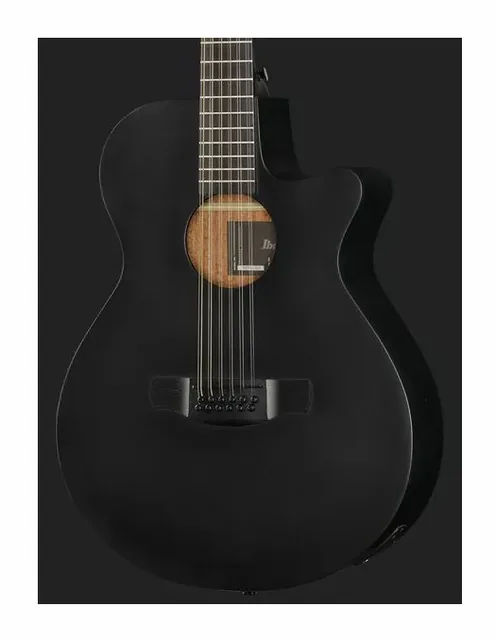 Ibanez AEG1221-BOT, cassa vista di fronte, scatto 4