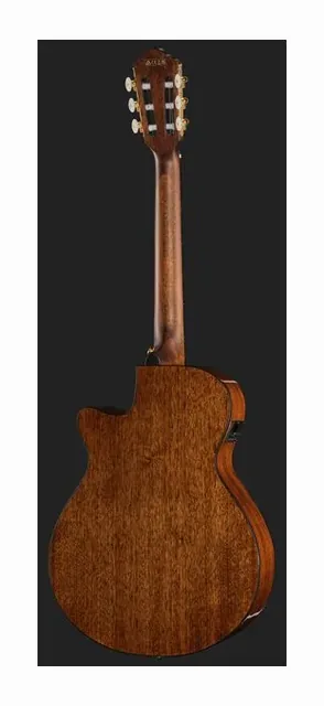 Ibanez AEG50N-BKH Nylon, buca e rosetta, scatto 3