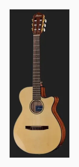 Ibanez AEG50N-NT Nylon, paletta a finestre e meccaniche, scatto 2