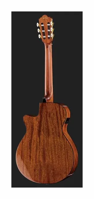 Ibanez AEG50N-NT Nylon, buca e rosetta, scatto 3