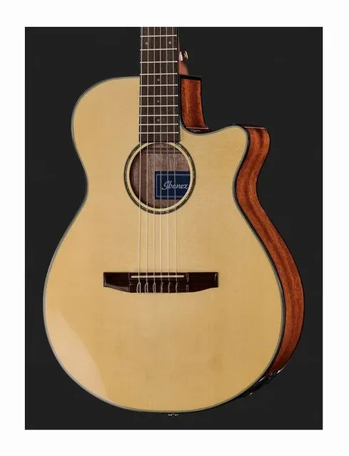 Ibanez AEG50N-NT Nylon, cassa vista di fronte, scatto 4