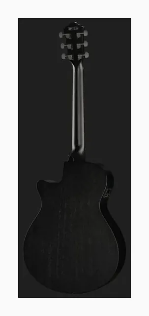 Ibanez AEG621-BOT, paletta e meccaniche, scatto 3