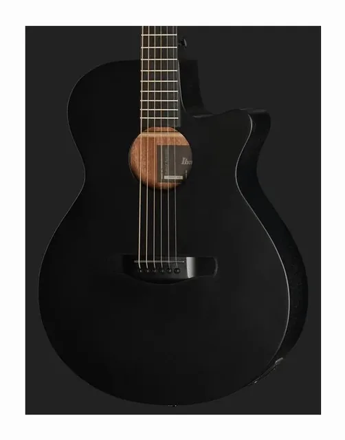 Ibanez AEG621-BOT, fondo e fasce, scatto 4