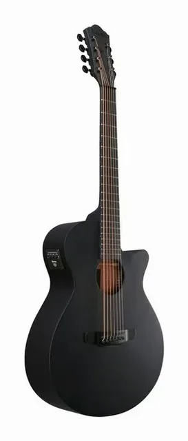 Ibanez AEG721-BOT, cassa vista di fronte, scatto 3