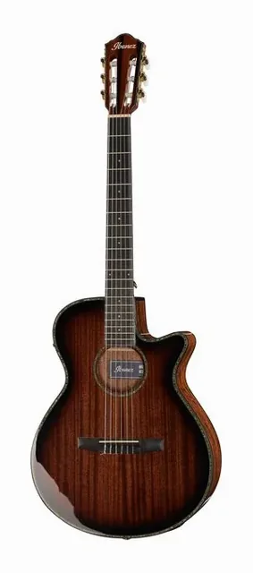 Ibanez AEG74N-MHS da vicino, di fronte