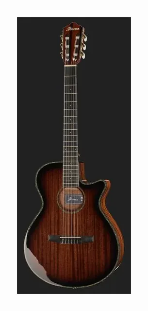 Ibanez AEG74N-MHS, paletta a finestre e meccaniche, scatto 2