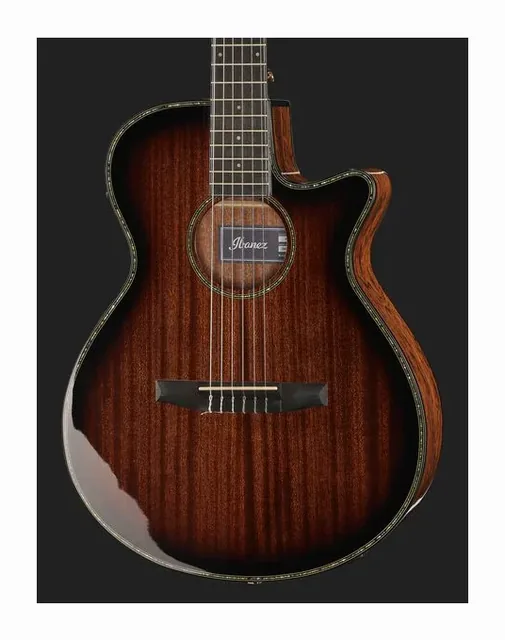 Ibanez AEG74N-MHS, buca e rosetta, scatto 4