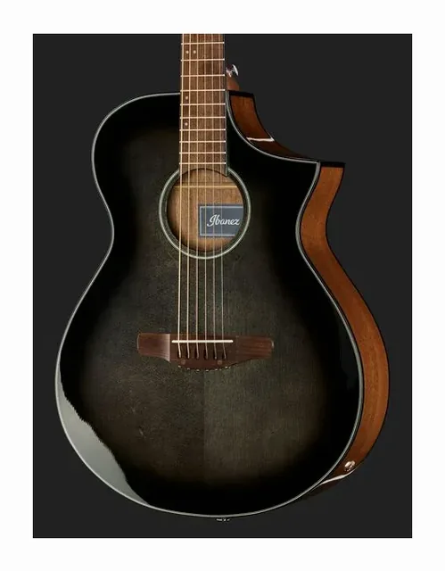 Ibanez AEWC11-TCB, tastiera e capotasto, scatto 4