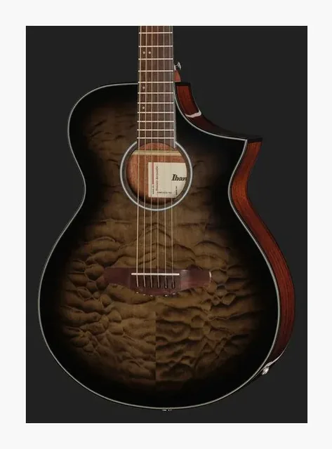 Ibanez AEWC16QA-TKH, tastiera e capotasto, scatto 4