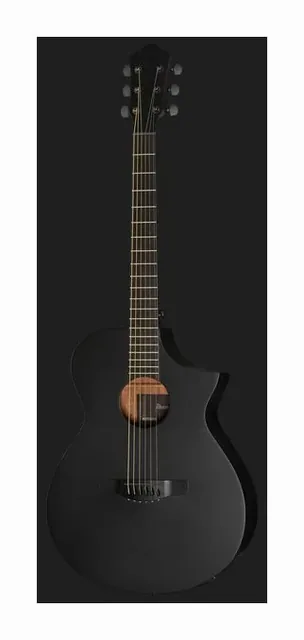 Ibanez AEWC621-BOT, paletta e meccaniche, scatto 2