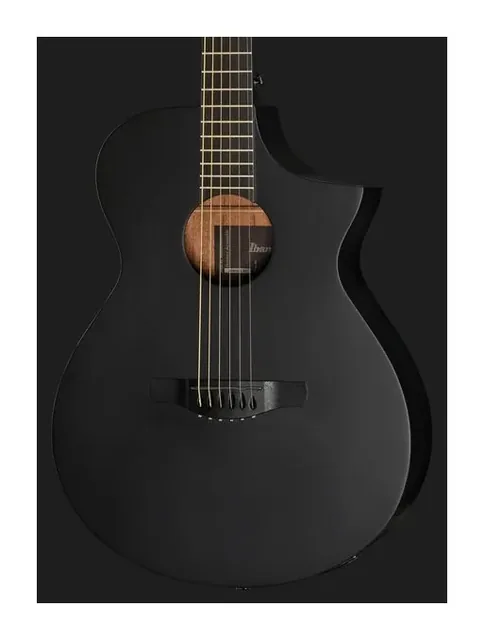 Ibanez AEWC621-BOT, cassa vista di fronte, scatto 4