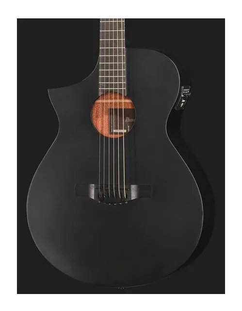 Ibanez AEWC621L-BOT, tastiera e capotasto, scatto 4