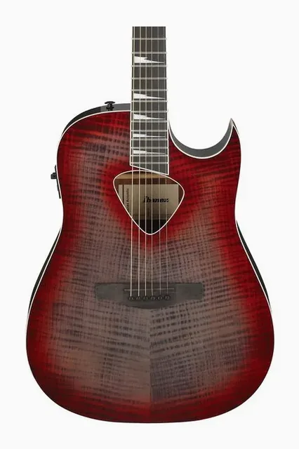 Ibanez ALT50FA-RDB, tastiera e capotasto, scatto 4