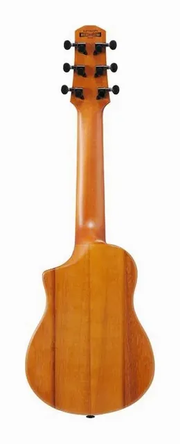 Ibanez AUP10N-OPN, tastiera e capotasto, scatto 2