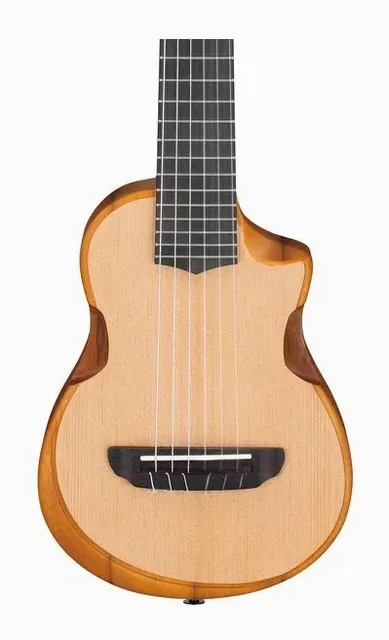 Ibanez AUP10N-OPN, ponte e cordiera, scatto 4