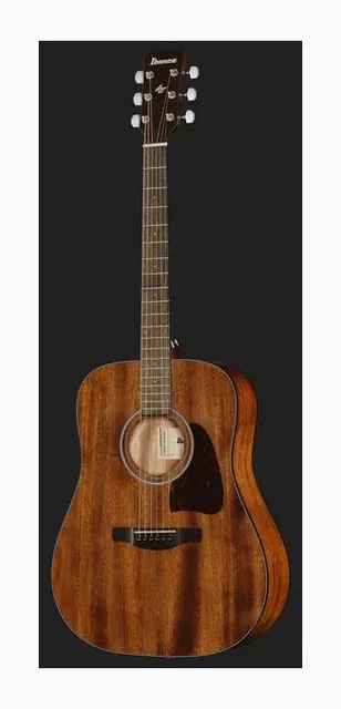 Ibanez AW54-OPN, tastiera e capotasto, scatto 2