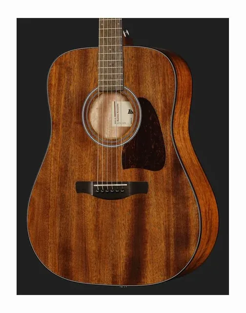 Ibanez AW54-OPN, fondo e fasce, scatto 4