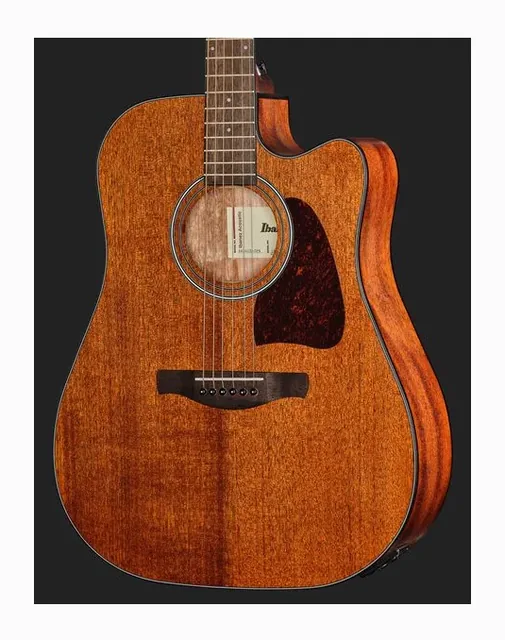 Ibanez AW54CE-OPN, paletta e meccaniche, scatto 4