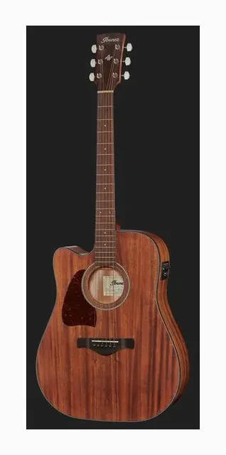 Ibanez AW54LCE-OPN, buca e rosetta, scatto 2