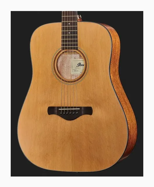 Ibanez AW65-LG, buca e rosetta, scatto 4