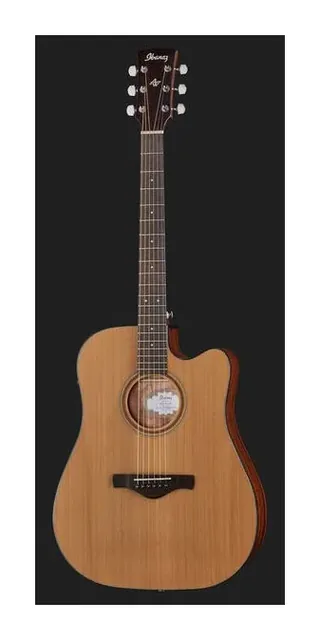 Ibanez AW65ECE-LG, paletta e meccaniche, scatto 2
