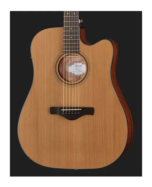 Ibanez AW65ECE-LG, fondo e fasce, scatto 4