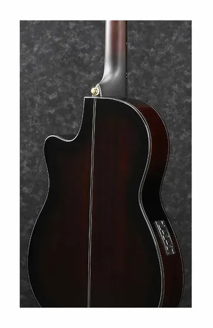 Ibanez GA35TCE-DVS, tastiera e capotasto, scatto 3