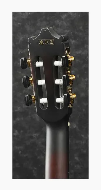 Ibanez GA35TCE-DVS, tastiera e capotasto, scatto 4