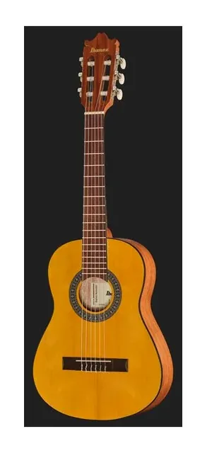 Ibanez GA1-OAM, cassa vista di fronte, scatto 2