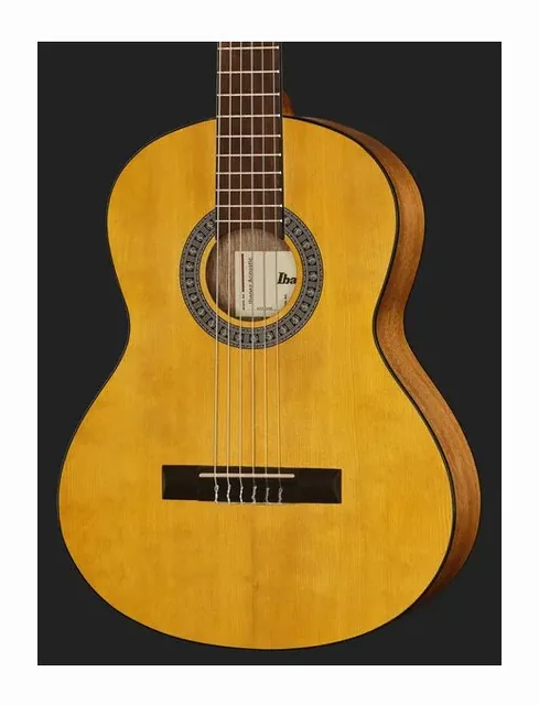Ibanez GA2-OAM, cassa vista di fronte, scatto 4