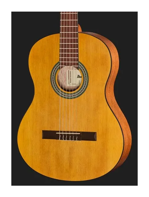 Ibanez GA3-OAM, buca e rosetta, scatto 4