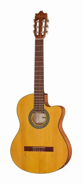 Ibanez GA3ECE-OAM da vicino, di fronte
