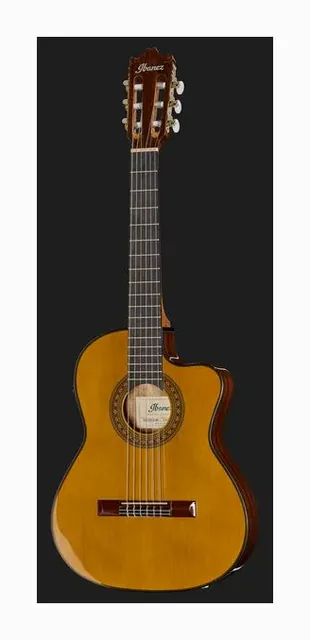 Ibanez GA5TCE3Q-AM, paletta a finestre e meccaniche, scatto 2