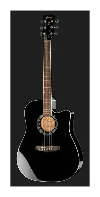 Ibanez PF15ECE-BK, buca e rosetta, scatto 2