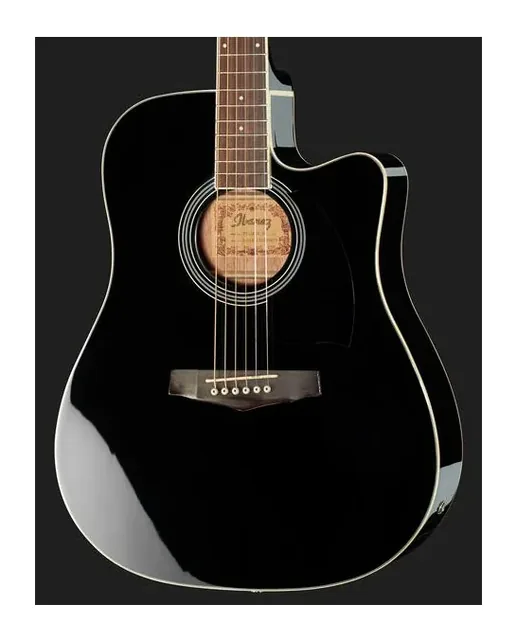Ibanez PF15ECE-BK, cassa vista di fronte, scatto 4