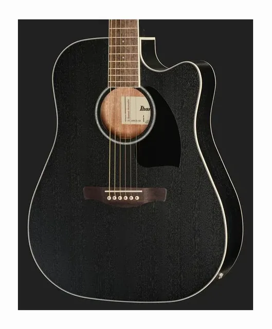 Ibanez PF16MWCE WBK, buca e rosetta, scatto 4
